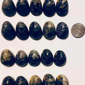 May include: A collection of twenty dark, oval-shaped stones with a marbled appearance, featuring shades of black, gray, and hints of yellow and orange. A U.S. nickel is included for size reference. The text "20 Lg" is visible.