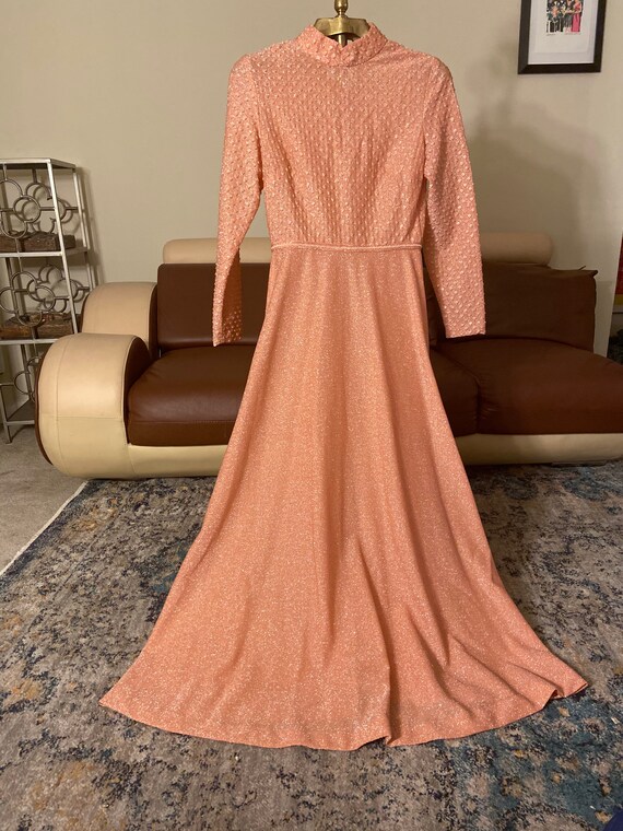 XS 1970s Sheer Peach Maxi Dress