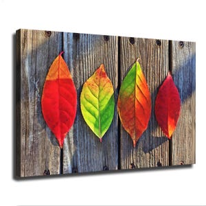 Puede incluir: Un lienzo rectangular que muestra cuatro hojas de otoño de colores vibrantes dispuestas en fila sobre un fondo de tablones de madera desgastada. Las hojas presentan un degradado de rojo, amarillo y verde con nervaduras visibles.