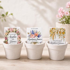 Pode incluir: Três vasos de terracota branca contendo cada um um pacote de sementes. O pacote da esquerda apresenta um arco floral rosa, o central um buquê com flores azuis e rosas, e o da direita um arranjo floral amarelo. Todos exibem o texto Let Love Grow, Sophia & James.