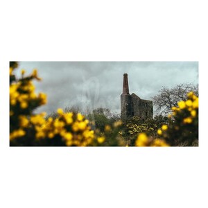 Könnte beinhalten: Ein steinernes Maschinenhaus mit einem hohen Backsteinschornstein steht vor einem bewölkten Himmel, eingerahmt von leuchtend gelben Ginsterblüten im Vordergrund. Das historische Industriegebäude weist mehrere Fensteröffnungen auf.
