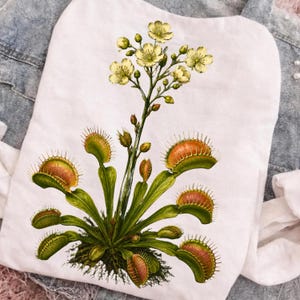 Vleesetende planten PNG: Vintage botanische Venusvliegenval bekerplant png Retro plantenillustratie clipart (digitale download)
