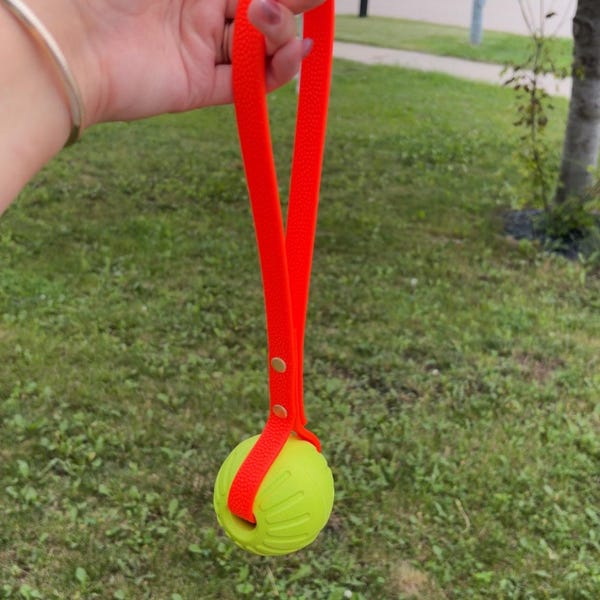 BioThane ball tug | CUSTOM | read description