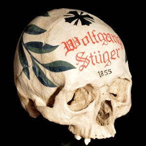Hallstatt Skull Replica