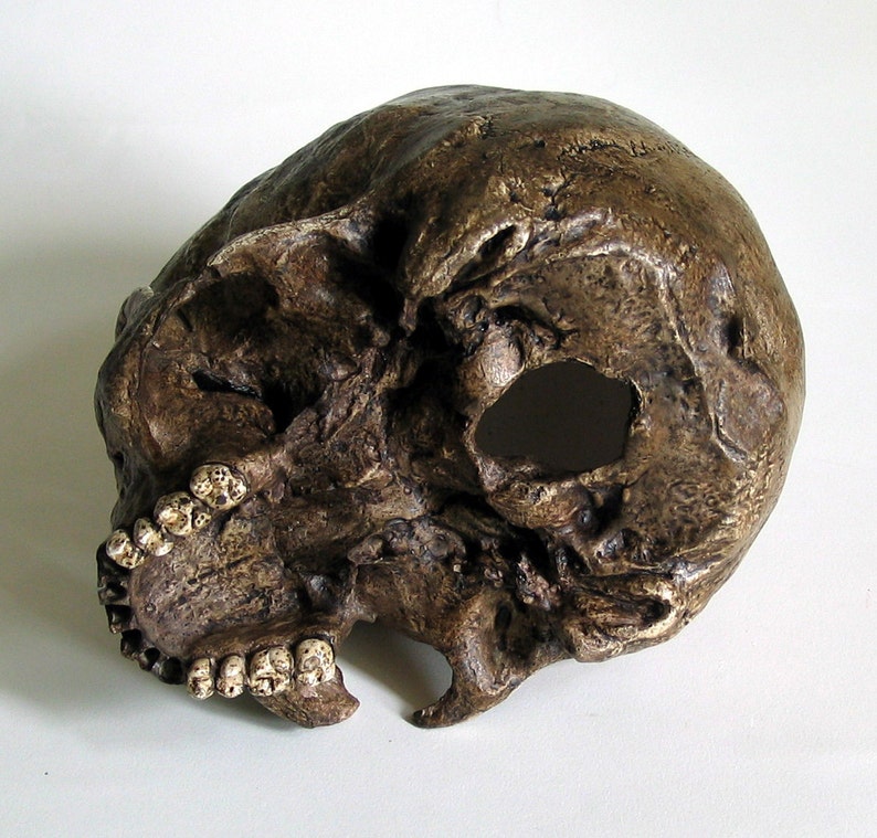 Human Skull Replica/Memento Mori image 2