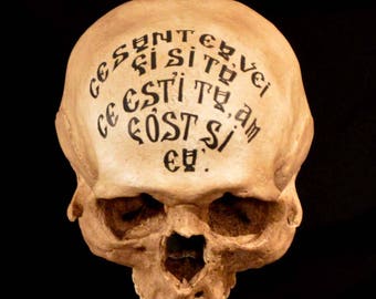 Mount Athos Skull Replica