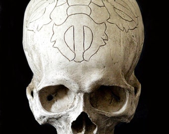 Tibetan Hand Carved Skull Replica