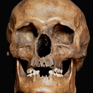 Human Skull Replica/Memento Mori