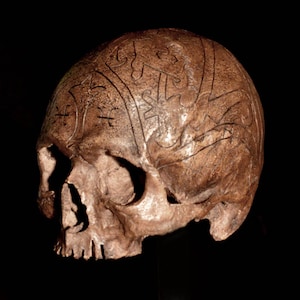 Dayak Skull Replica