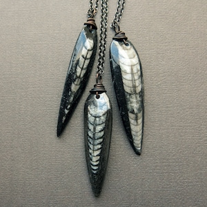 May include: Three long, teardrop-shaped pendants made of fossilized stone with a black and white pattern. The pendants are attached to silver chains.