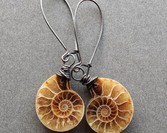 May include: A pair of drop earrings featuring tan and brown spiral ammonite fossils. Each fossil is secured with dark grey wire wrapping that connects to a matching dark grey metal ear wire hook, creating a cohesive and natural look.