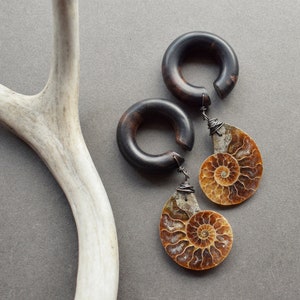Ammonite Fossil Dangle Plugs, Organic Wood Gauges, Spiral Hoop Ear Weights, Real Natural Stone Plug Earrings 4g 2g 0g 00g 9/16 5/8 Inch