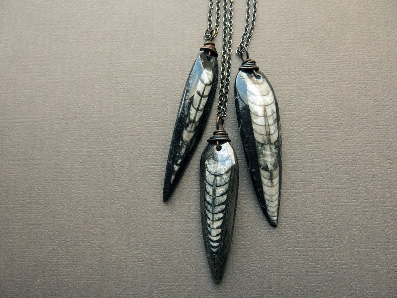 May include: Three long, teardrop-shaped pendants made of fossilized stone with a black and white pattern. The pendants are attached to silver chains.
