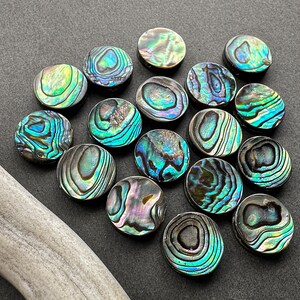Häxig Abalone Shell Choker Halsband, Gotisk Svart Läder Ryggkedja Halsband, Alt Goth Smycken bild 8
