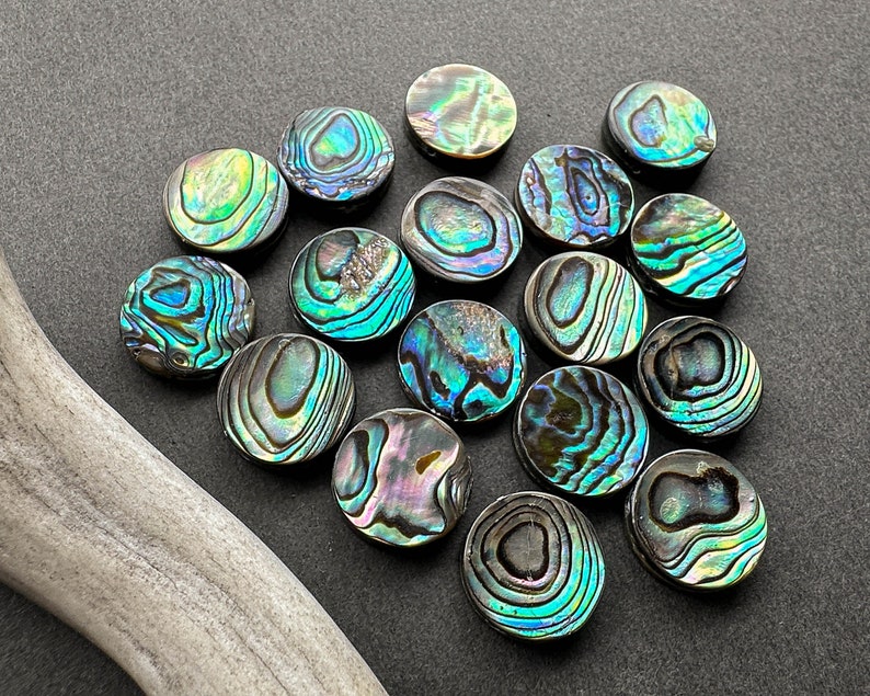 Häxig Abalone Shell Choker Halsband, Gotisk Svart Läder Ryggkedja Halsband, Alt Goth Smycken bild 8