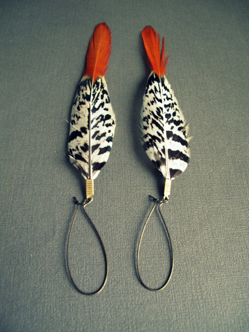 May include: A pair of earrings featuring black and white patterned feathers with orange tips. The feathers are attached to simple gold hoops.