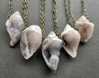 Fossil Shell Necklace - Druzy Necklace - Crystal Seashell Necklace - Raw Crystal Necklace - Raw Crystal Jewelry - Fossil Crystal Pendant