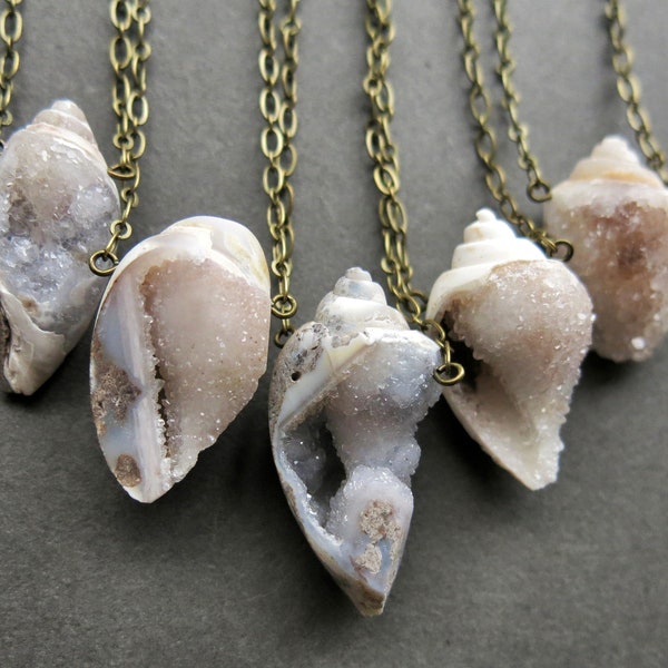 Spiralite Crystallized Shell Necklace, Real Seashell Fossil Necklace, Druzy Necklace, Raw Crystal Necklace, Agatized Snail Fossil Jewelry