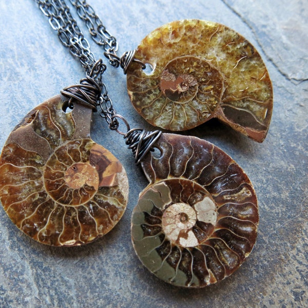 Ammonite Fossil Neckace - Ammonite Pendant - Fossil Jewelry - Wire Wrap Ammonite Necklace - Spiral Fossil Pendant Fossil Specimen