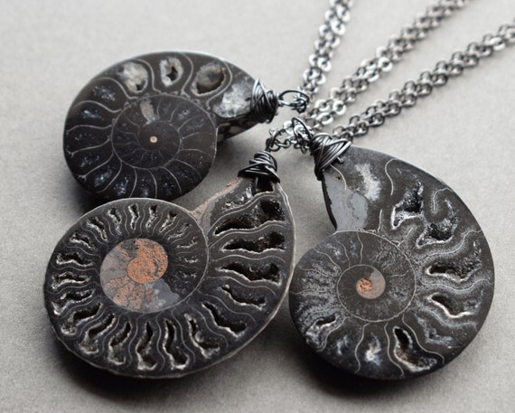希少な黒アンモナイトネックレス、貝殻化石ネックレス、黒石ネックレス