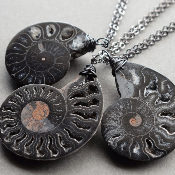 Rare Black Ammonite Necklace, Shell Fossil Necklace, Black Stone Necklace, Ammonite Pendant, Natural Fossil Jewelry, Gothic Witch Jewelry