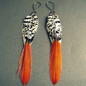 May include: A pair of long feather earrings with black and white patterned feathers and orange tips.