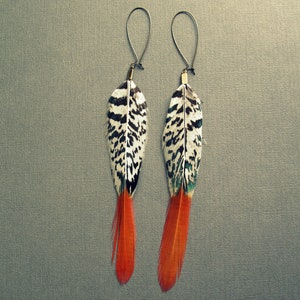 May include: A pair of earrings featuring long, black and white feathers with orange tips. The feathers are attached to silver hoops.