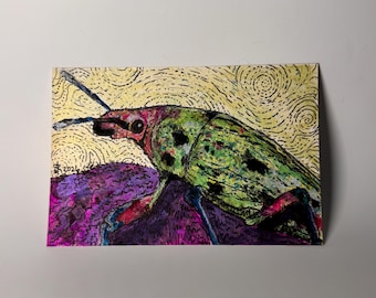 Original Watercolor Postcard: Compsus benoisti - Glitter Weevil