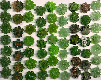 Succulent Magnet Set - Seven (7) Handmade Resin Plant Magnets with Dew Drops