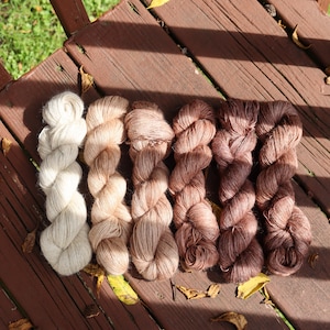 May include: Six skeins of yarn arranged in a row, displaying a gradient of colors ranging from off-white to light beige, tan, dusty rose, medium brown, and dark chocolate brown. Each skein is twisted into a long, textured, and fibrous bundle.