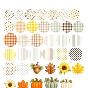 Puede incluir: Una colección digital de fondos de otoño con varios patrones circulares que incluyen cuadros vichy, rayas, lunares y motivos otoñales como bellotas, girasoles y hojas de arce, junto con ilustraciones individuales de calabazas y hojas.