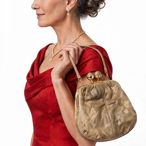 Judith Leiber Vintage fawn brown Python Bag gold trim crossbody, Coin Purse