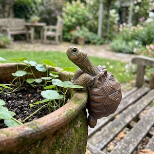 Puede incluir: Una figura de tortuga marrón y texturizada con un caparazón detallado y piel escamosa, colocada como si estuviera trepando por el borde de una maceta de terracota desgastada y cubierta de musgo, llena de pequeñas hojas verdes y tierra.