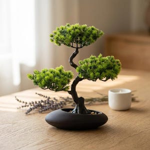 Könnte beinhalten: Ein künstlicher Bonsai-Baum mit leuchtend grünem, nadelartigem Laub und einem dunklen, strukturierten, geschwungenen Stamm. Der Baum ist in einen glatten, flachen, mattschwarzen ovalen Keramiktopf gepflanzt, der kleine Zierkiesel auf der Oberfläche enthält.