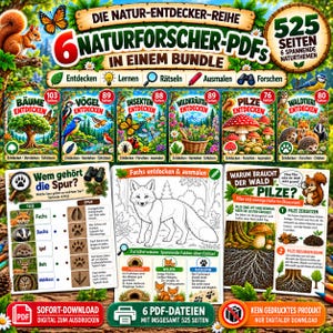 Könnte beinhalten: Ein digitales Paket mit sechs naturkundlichen PDF-Lernheften mit insgesamt 525 Seiten. Die Sammlung enthält farbenfrohe Illustrationen von Bäumen, Vögeln, Insekten, Kräutern, Pilzen und Waldtieren sowie Arbeitsblätter zum Ausmalen und Forschen.