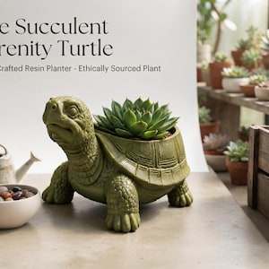 May include: A green resin turtle planter containing a green succulent plant. The text reads: The Succulent Serenity Turtle, Hand-Crafted Resin Planter - Ethically Sourced Plant. A small beige bowl with colorful stones and a small watering can are nearby.