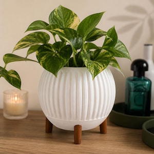 Op de afbeelding: Een witte, bolvormige plantenbak met een verticale geribbelde textuur, ondersteund door drie kleine, cilindrische houten pootjes. De plantenbak bevat een weelderige pothosplant met bonte, hartvormige bladeren in groen en geel.