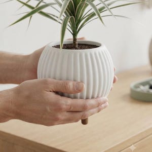 Moderne geribbelde plantenpot met houten poten, minimalistische kamerplantenpot, 3D-geprinte succulentenpot, woondecoratiecadeau voor plantenliefhebbers