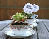 Personalized Favor Tags for Wedding, Shower, Engagement Party - 20 plant stakes for succulents, flower gifts for guests - Let Love Bloom
