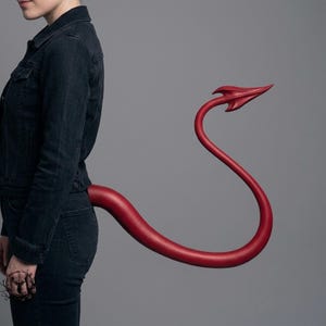 Teufelsschwanz-Cosplay – STL-Datei für Dämonen-Sukkubus-Schwanz (Digitaler Download)