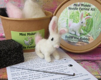 Needle felting starter kit, mini bunny rabbit, wool roving, craft gift