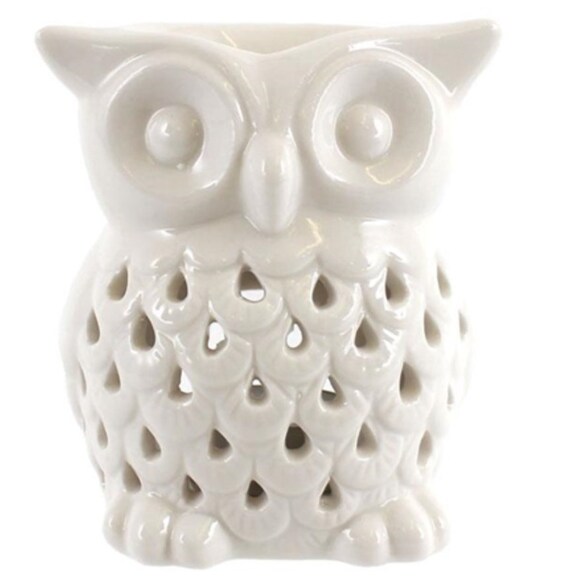Owl 2024 candle melter