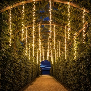 May include: A series of vertical string lights with warm white bulbs hanging from a wooden arched trellis covered in green foliage. The lights create a glowing pathway leading toward a dark blue twilight sky visible at the end of the tunnel.