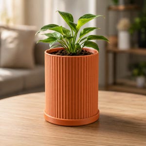 May include: A cylindrical terracotta-coloured plant pot with a vertical ribbed texture and a matching circular saucer base. The pot contains a small green leafy plant with pointed foliage growing out of dark potting soil visible at the top.