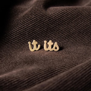 It/Its Pronoun Pins — Antigender Neopronoun Dehuman Furry Fandom Furself LGBT Nullgender Nonbinary Trans Transgender Agender Nongender
