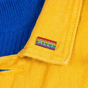 Rainbow ALLY Pride Pin — Safe Space Support Rainbow Pronoun Badge Subtle Trans Sibling Rights Protest Queer Fist Lanyard Bracelet Accessory