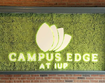 Custom LED Backlit Sign for business letters or logo