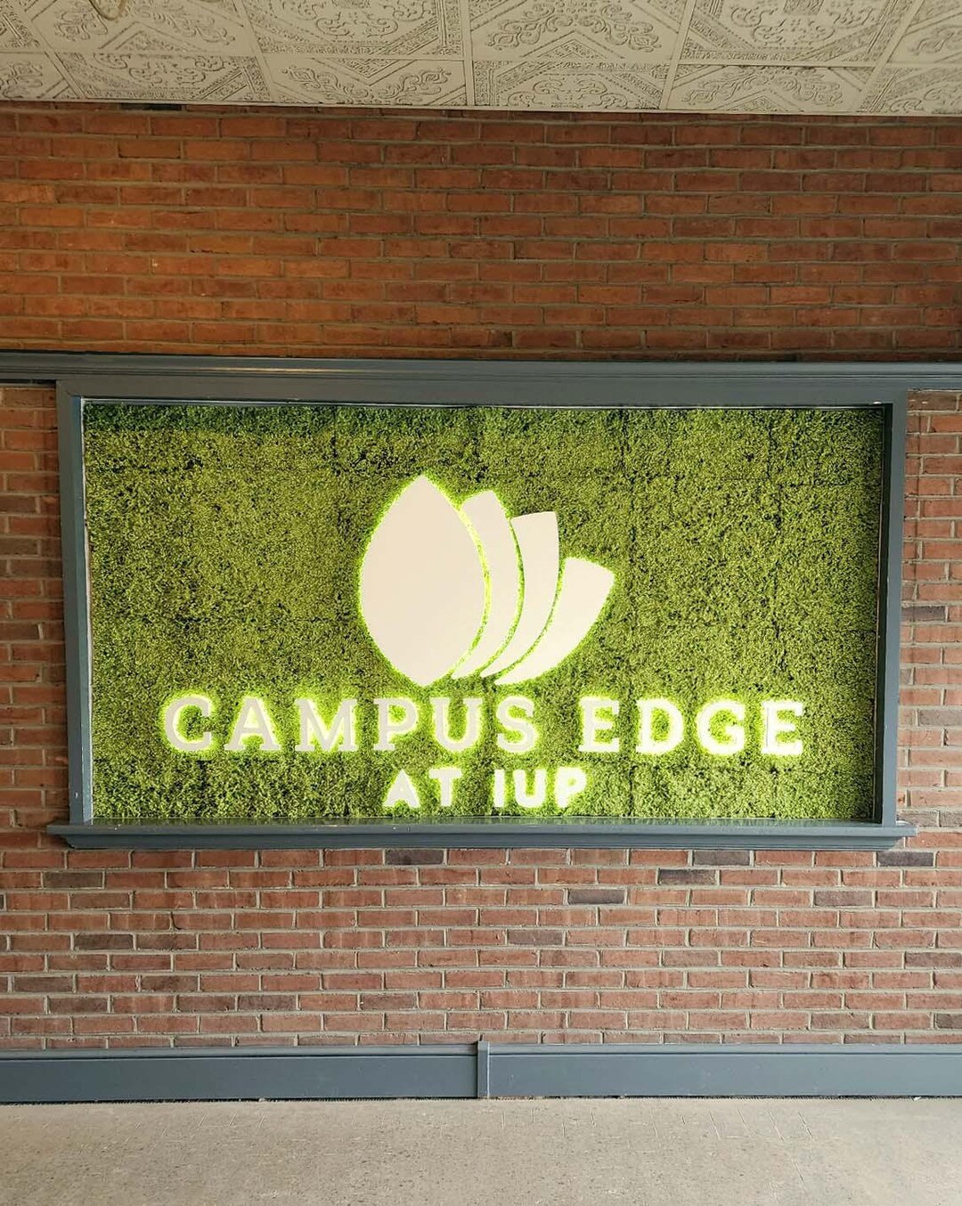 Custom LED Backlit Sign for Business Letters or Logo - Etsy