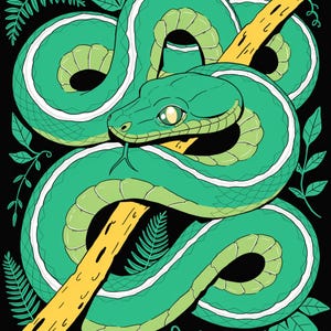 Coiled & Cool Green Tree Python Tee, Funny Reptile Gift, Snake Lover Shirt