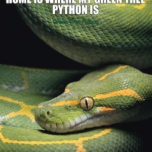May include: A green tree python with yellow markings coiled against a black background. The text HOME IS WHERE MY GREEN TREE PYTHON IS appears at the top, with the words Green Tree Python printed in smaller green text below the main headline.